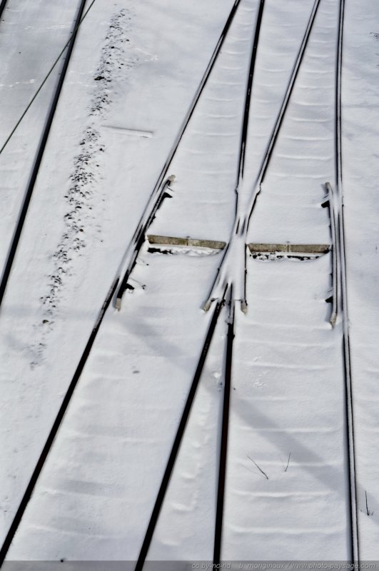 Neige sur la voie ferrée
Une fine neige poudreuse est tombée sur les rails...
Mots-clés: hiver neige voie-ferree cadrage_vertical