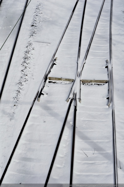 Neige sur la voie ferrée
Une fine neige poudreuse est tombée sur les rails...
Mots-clés: hiver neige voie-ferree cadrage_vertical