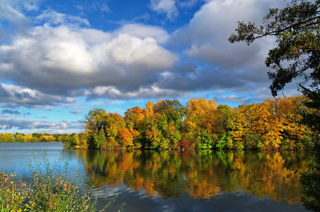 Palette de couleurs automnales au bord de l'eau -02
Un bosquet teinté de belles couleurs automnales se reflète à la surface d'un plan d'eau.

[Photos d'automne]
Mots-clés: belles-photos-automne automne categorielac couleur reflets nuage ciel_bleu ciel_d_en_bas bosquet les_plus_belles_images_de_nature