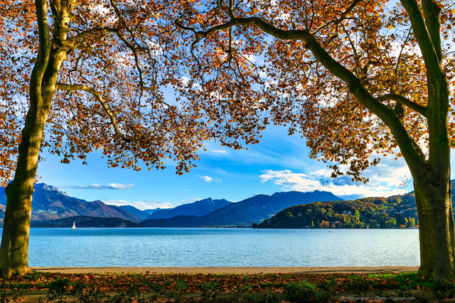 Panorama automnal sur le lac d'Annecy
Haute-Savoie
Mots-clés: automne categorielac platane belles-photos-automne