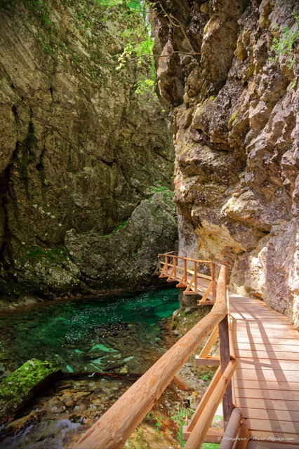 Passerelle en bois dans les gorges de Vintgar
Parc national du Triglav, Bled, Slovénie
Mots-clés: canyon slovenie riviere chemin categ_ete pont alpes_slovenie sentier cadrage_vertical