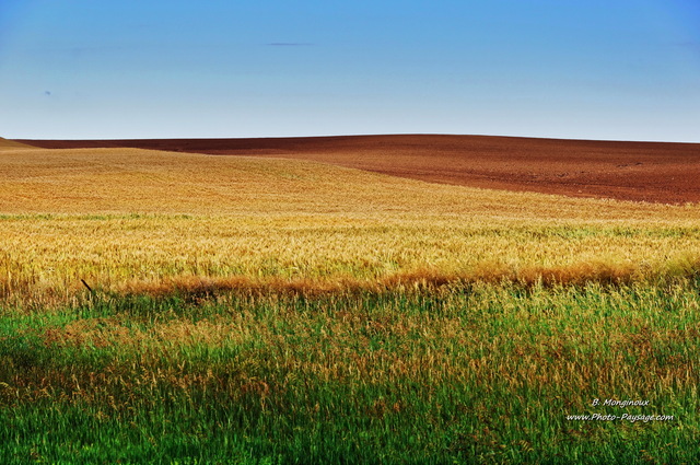 Paysage de campagne photographié dans le Colorado
Colorado, USA
Mots-clés: etat_colorado categ_ete