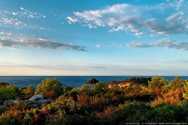 Paysage de garrigue en bord de Méditerranée
Parc National des Calanques
Cassis, Bouches-du-Rhône
Mots-clés: calanques provence garrigue littoral mer categ_ete