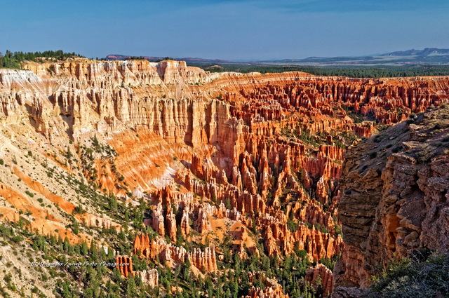 Paysage de hoodoos à  Bryce Canyon
Bryce Canyon National Park, Utah, USA
Mots-clés: utah usa hoodoo