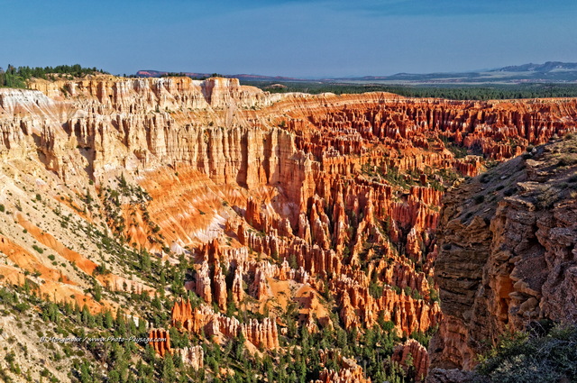 Paysage de hoodoos à Bryce Canyon
Bryce Canyon National Park, Utah, USA
Mots-clés: utah usa hoodoo