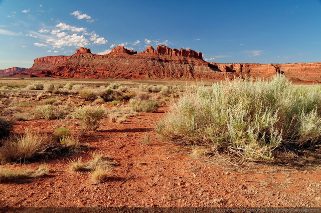 Paysage désertique à  proximité de Moab
Moab, Utah, USA
Mots-clés: canyonlands utah usa desert