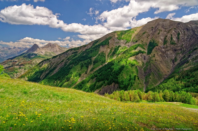 Paysage du Mercantour
Col d'Allos (2248m)
[Parc national du Mercantour]
Mots-clés: mercantour categ_ete pissenlit prairie