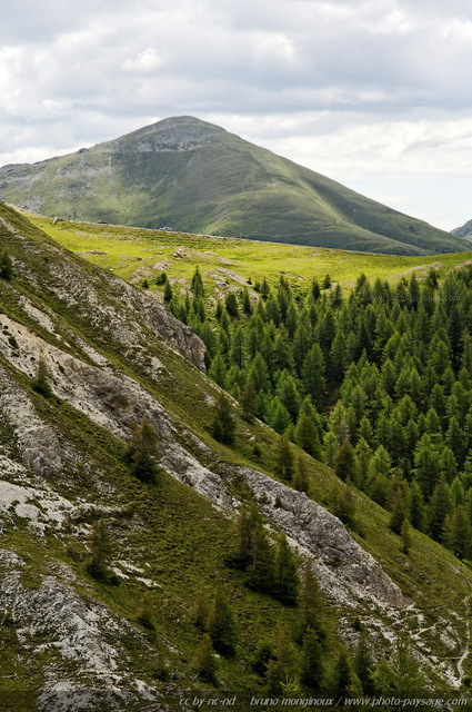 Paysage alpin - Montagnes du Nockberg -03
Autriche
Mots-clés: Alpes_Autriche montagne foret_alpes cadrage_vertical