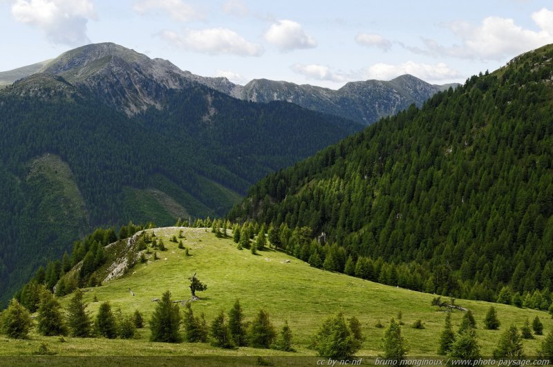 Paysage alpin - Montagnes du Nockberg -04
Autriche
Mots-clés: Alpes_Autriche montagne foret_alpes