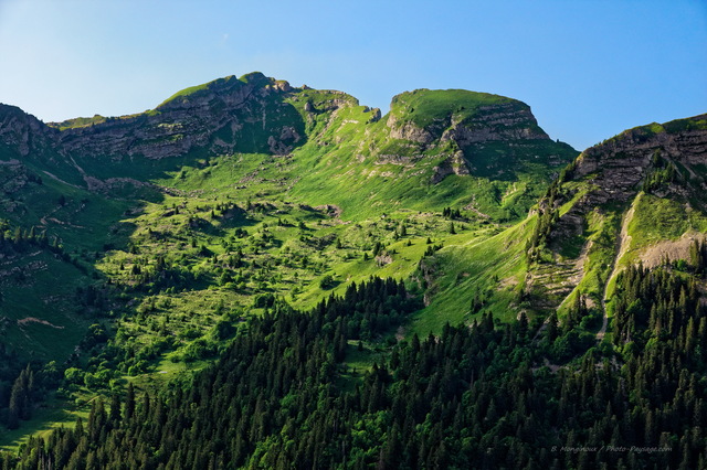 Paysage de Haute-Savoie
Vu depuis le belvédère de Montriond, au-dessus du lac. Avoriaz, Haute-Savoie
Mots-clés: foret_alpes categ_ete