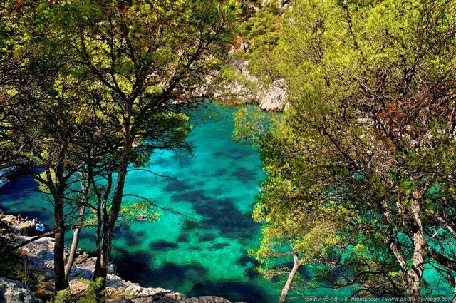 Paysage des Calanques de Cassis 2
Littoral de Provence, entre Cassis et Marseille : 
Le Parc National des Calanques
Mots-clés: provence cassis parc_national_des_calanques cote-d-azur marseille categ_ete categ_pinede_garrigue mer mediterranee