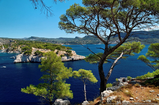 Paysage des Calanques de Cassis 8
Littoral de Provence, entre Cassis et Marseille : 
Le Parc National des Calanques
Mots-clés: provence cassis parc_national_des_calanques cote-d-azur alep regle_des_tiers marseille categ_ete categ_pinede_garrigue mer mediterranee les_plus_belles_images_de_nature