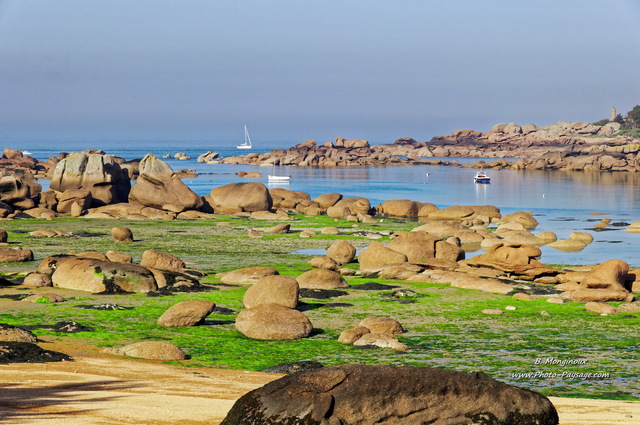 Paysages de la Côte de Granit Rose -  03
Côtes d'Armor, Bretagne
Mots-clés: bretagne cotes-d-armor plage bateau algues