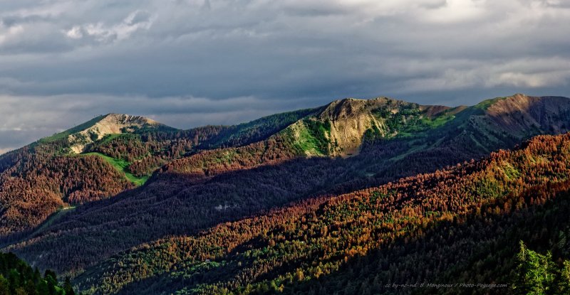Paysages du Mercantour   1
Val d'Allos - la Foux, Alpes-de-Haute-Provence
Mots-clés: categ_ete foret_alpes