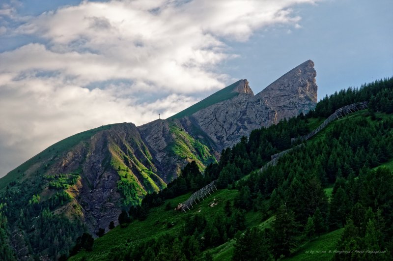 Paysages du Mercantour   2
Val d'Allos - la Foux, Alpes-de-Haute-Provencee
Mots-clés: categ_ete foret_alpes