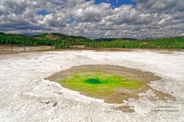 Pearl Geyser, Norris geyser basin
Parc national de Yellowstone, Wyoming, USA
Mots-clés: source_thermale yellowstone wyoming usa foret_usa conifere