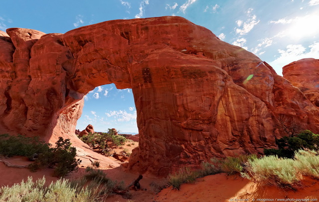 Pine Tree arch, vue panoramique
(assemblage panoramique HD)
Arches National Park, Utah, USA
Mots-clés: utah usa regle_des_tiers les_plus_belles_images_de_nature photo_panoramique falaise arche_naturelle desert categ_ete sable