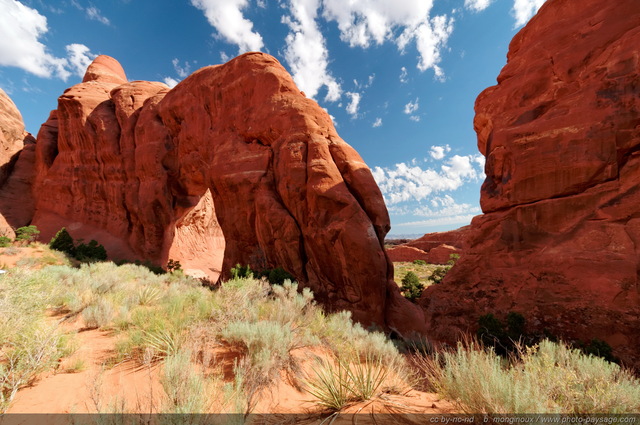 Pine Tree Arch
Arches National Park, Utah, USA
Mots-clés: USA etats-unis utah arche_naturelle falaise desert