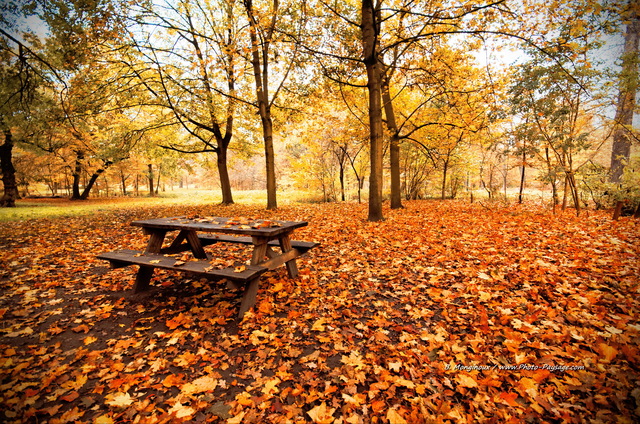 Pique nique d'automne dans le bois de Vincennes
Bois de Vincennes, Paris
[Photos d'automne]
Mots-clés: automne paris feuilles_mortes belles-photos-automne regle_des_tiers Vincennes