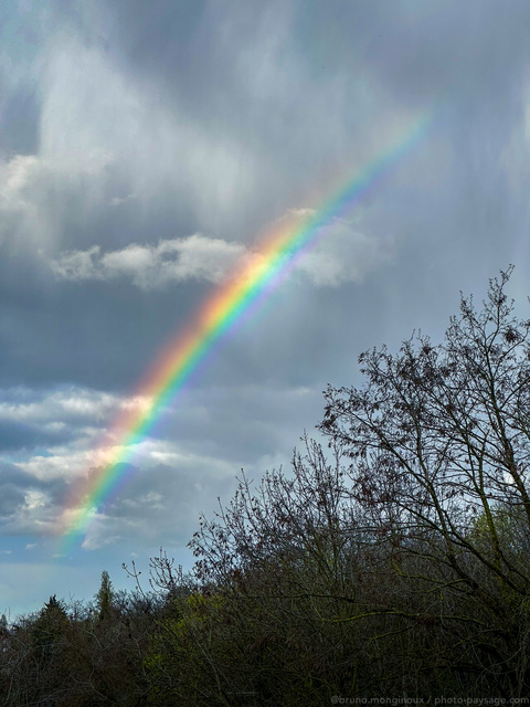 Arc-en-ciel & pluie
Magnifique contraste entre les couleurs d'un arc-en-ciel et le gris d'un ciel chargé et pluvieux. 
Mots-clés: Cadrage_vertical pluie minimaliste