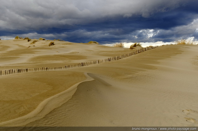 Pointe de l'Espiguette - 09
Massif dunaire de l'Espiguette
Le Grau du Roi / Port Camargue (Gard).
Mots-clés: nature plage mer mediterranee plage dune espiguette gard languedoc_roussillon languedoc-roussillon littoral les_plus_belles_images_de_nature