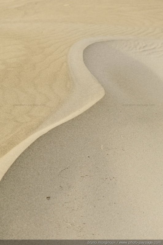 Une dune en formation ?
Massif dunaire de l'Espiguette
Le Grau du Roi / Port Camargue (Gard).
Mots-clés: cadrage_vertical nature plage mer mediterranee plage dune espiguette gard languedoc_roussillon languedoc-roussillon littoral