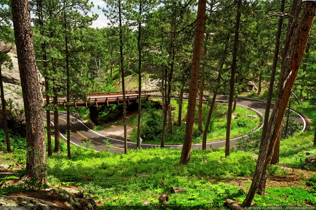 Pont en spirale (ou pigtail bridge) suivi d'un tunnel (rocher à  gauche)
Iron Mountain Road (US route 16A), Dakota du Sud, USA
Mots-clés: route Dakota_du_sud pont foret_usa foret_usa