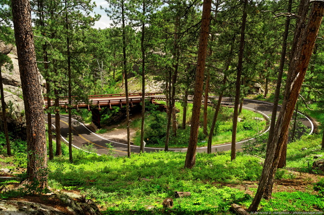 Pont en spirale (ou pigtail bridge) suivi d'un tunnel (rocher à gauche)
Iron Mountain Road (US route 16A), Dakota du Sud, USA
Mots-clés: route Dakota_du_sud pont foret_usa foret_usa