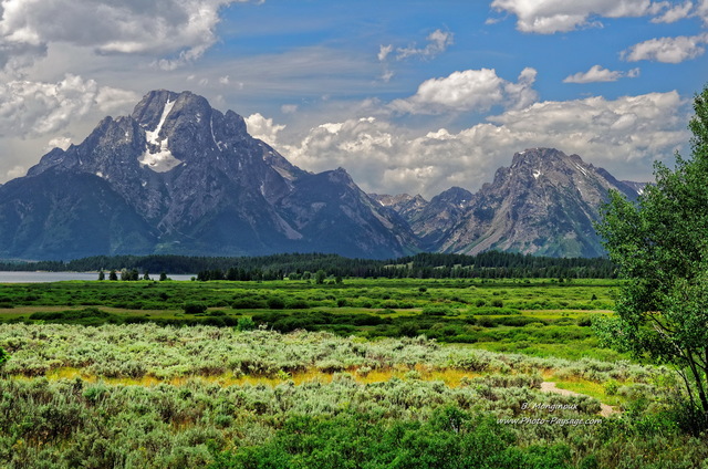 Prairie dans le parc national de Grand Teton
Parc national de Grand Teton, Wyoming, USA
Mots-clés: wyoming usa categ_ete montagne_usa campagne_usa les_plus_belles_images_de_nature