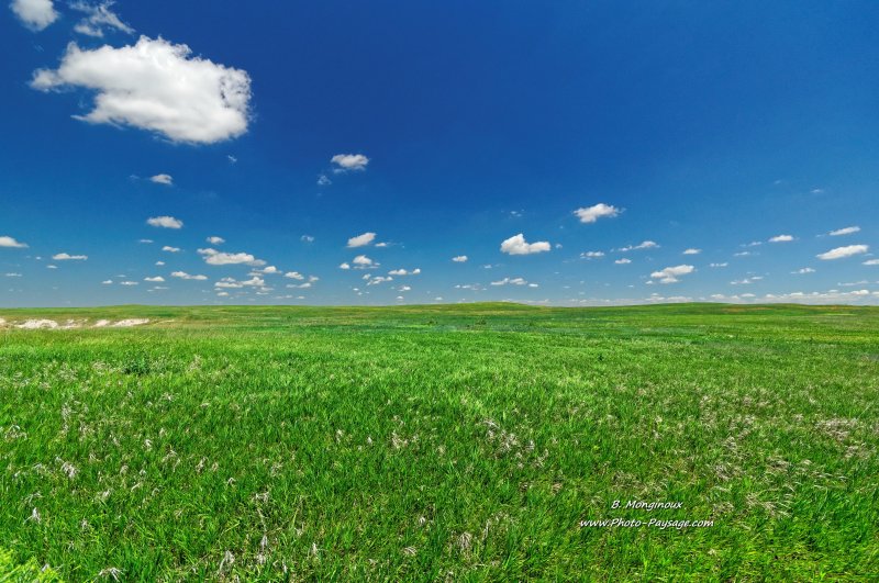 Prairie verdoyante dans le parc national des Badlands
Parc national des Badlands, Dakota du Sud, USA
Mots-clés: dakota_du_sud prairie campagne_usa categ_ete usa herbe ciel_d_en_bas les_plus_belles_images_de_nature