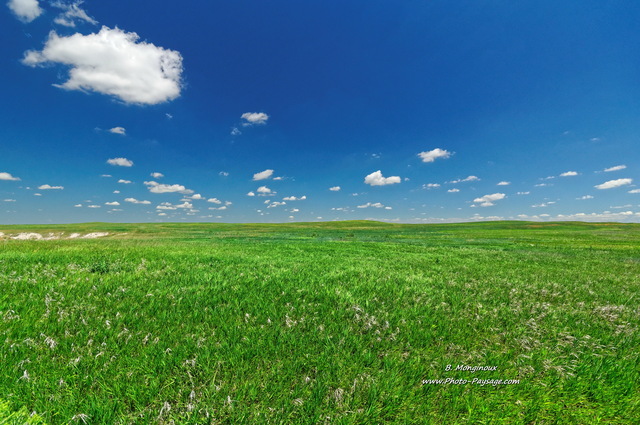 Prairie verdoyante dans le parc national des Badlands
Parc national des Badlands, Dakota du Sud, USA
Mots-clés: dakota_du_sud prairie campagne_usa categ_ete usa herbe ciel_d_en_bas les_plus_belles_images_de_nature