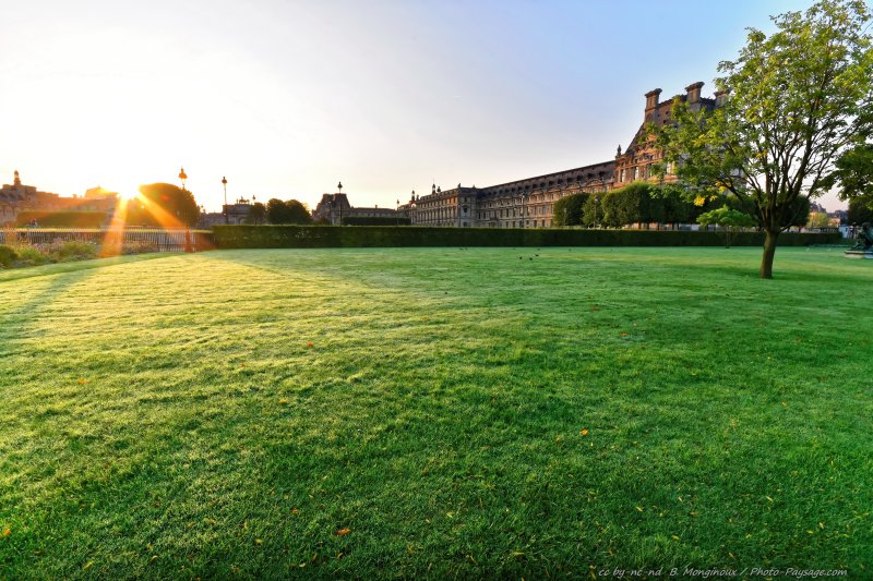Premiers rayons de soleil sur la pelouse du jardin des Tuileries
En arrière plan le palais du Louvre.
Jardin des Tuileries, Paris
Mots-clés: lever_de_soleil jardin_public_paris herbe pelouse paris