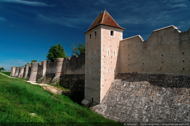 Les remparts de la cité médiévale (Provins)
Cité médiévale de Provins, Seine et Marne
Mots-clés: unesco_patrimoine_mondial seine_et_marne rempart monument