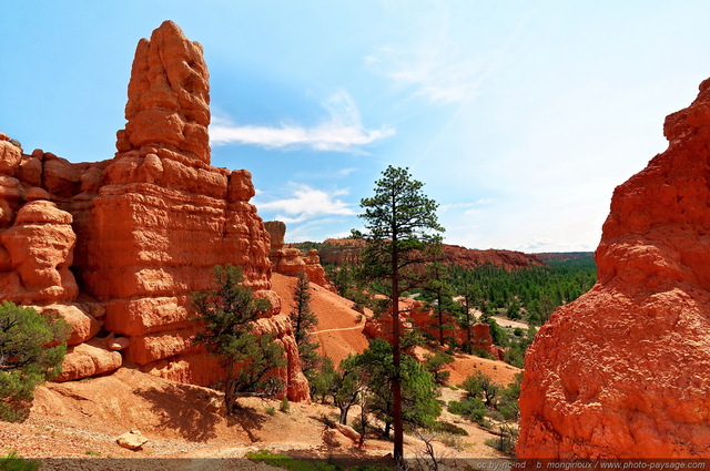 Red Canyon   01
Red Canyon, Scenic byway 12, Utah, USA
Mots-clés: red_canyon utah usa categ_ete