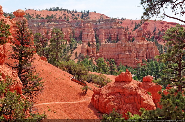 Red Canyon   05
Red Canyon, Scenic byway 12, Utah, USA
Mots-clés: red_canyon utah usa categ_ete montagne_usa