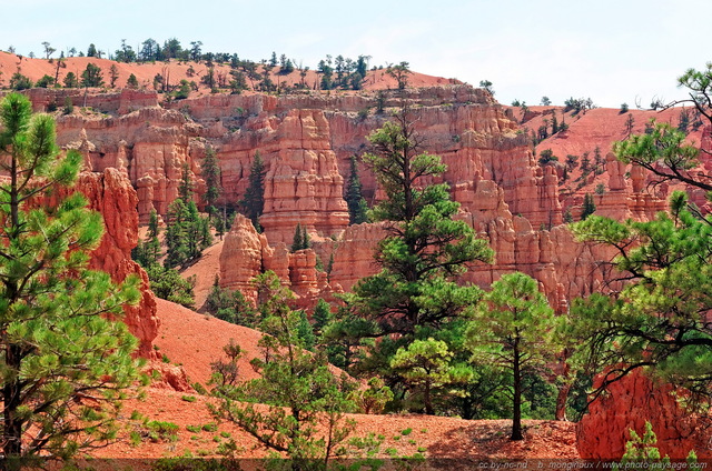 Red Canyon   09
Red Canyon, Scenic byway 12, Utah, USA
Mots-clés: red_canyon utah usa categ_ete montagne_usa