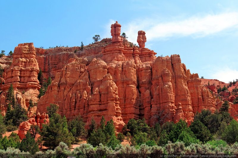 Red Canyon   10
Red Canyon, Scenic byway 12, Utah, USA
Mots-clés: red_canyon utah usa categ_ete montagne_usa