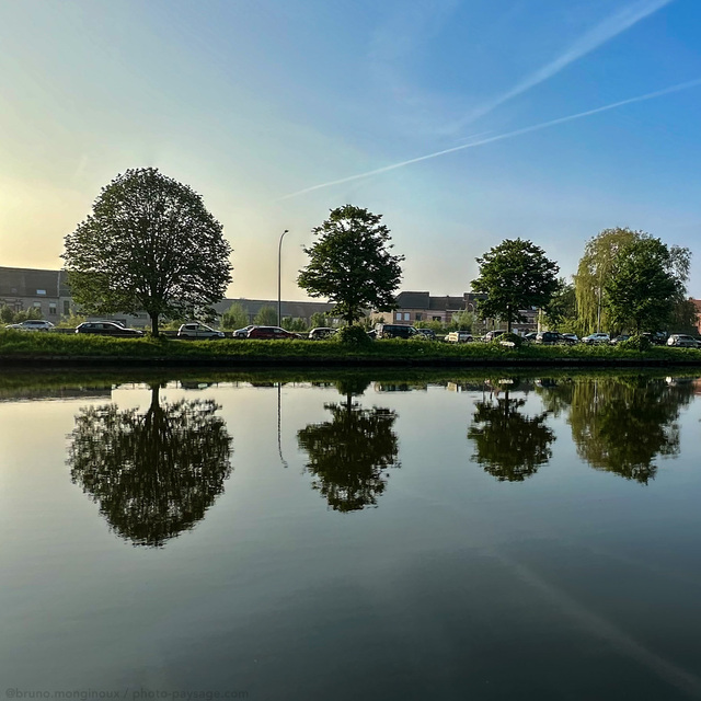 Reflets matinaux
Bruges, Belgique 
Mots-clés: Minimaliste reflets alignement_d_arbre