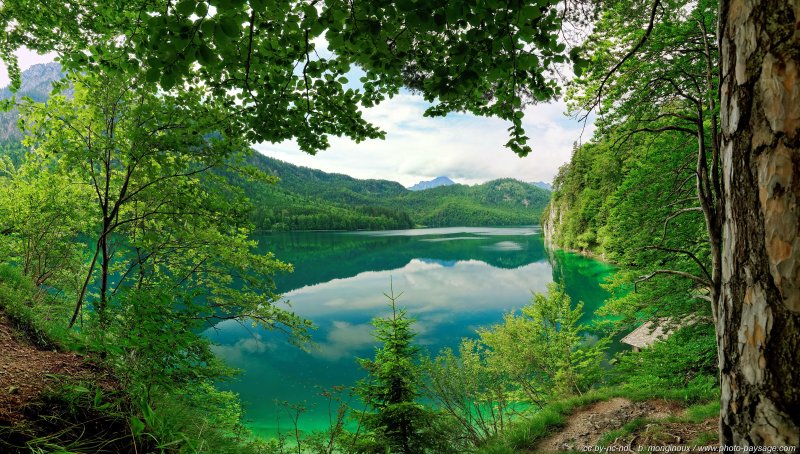 Reflets sur le lac Alpsee - vue panoramique
Schwangau, Bavière, Allemagne
Mots-clés: allemagne photo_panoramique baviere foret_alpes categ_ete categorielac reflets