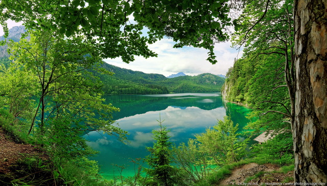 Reflets sur le lac Alpsee - vue panoramique
Schwangau, Bavière, Allemagne
Mots-clés: allemagne photo_panoramique baviere foret_alpes categ_ete categorielac reflets