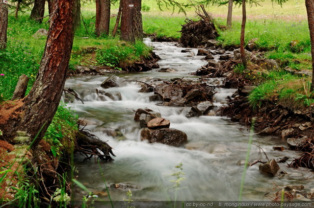 Rivières de montagne -  combe de Narreyroux - 03
Pays des Ecrins (Hautes-Alpes)
Mots-clés: les_plus_belles_images_de_nature Alpes_Ecrins montagne nature categ_ete riviere