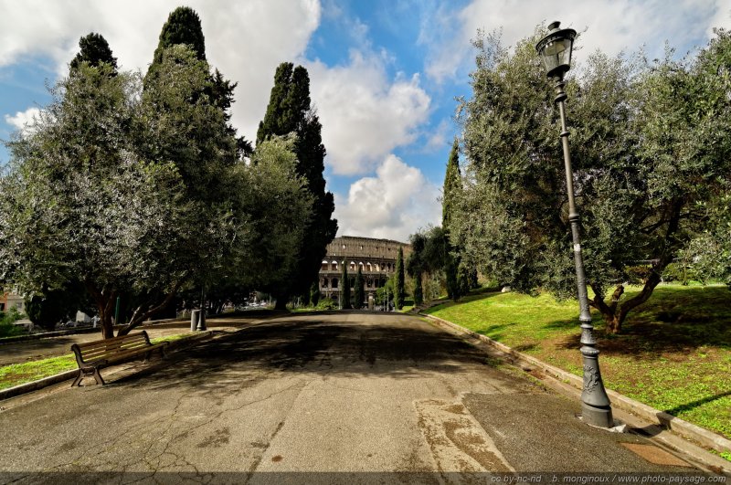 Le Colisée vue depuis la colline de l'Esquilin
Rome, Italie
Mots-clés: rome italie monument jardins_de_rome colisee olivier