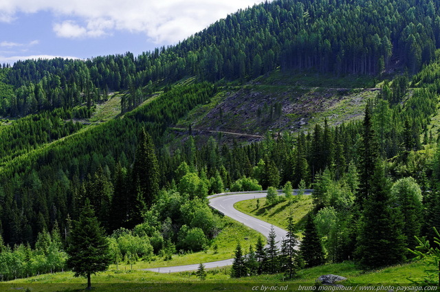 Serpent routier dans les Alpes autrichiennes
Autriche
Mots-clés: Alpes_Autriche montagne route nature categ_ete foret_alpes