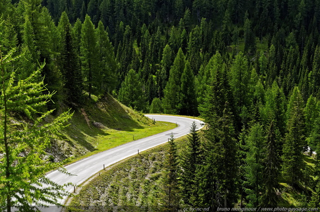 Routes alpines autrichiennes -07
Autriche
Mots-clés: Alpes_Autriche montagne route nature categ_ete foret_alpes les_plus_belles_images_de_nature