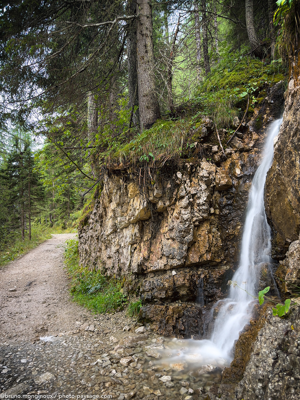 Un ruisseau en cascade au bord d’un chemin de randonnée dans les Dolomites 
Dolomites, Alpes italiennes 
Mots-clés: Dolomites alpes_italiennes categ_ete cadrage_vertical cascade sentier foret_alpes chemin italie_autre