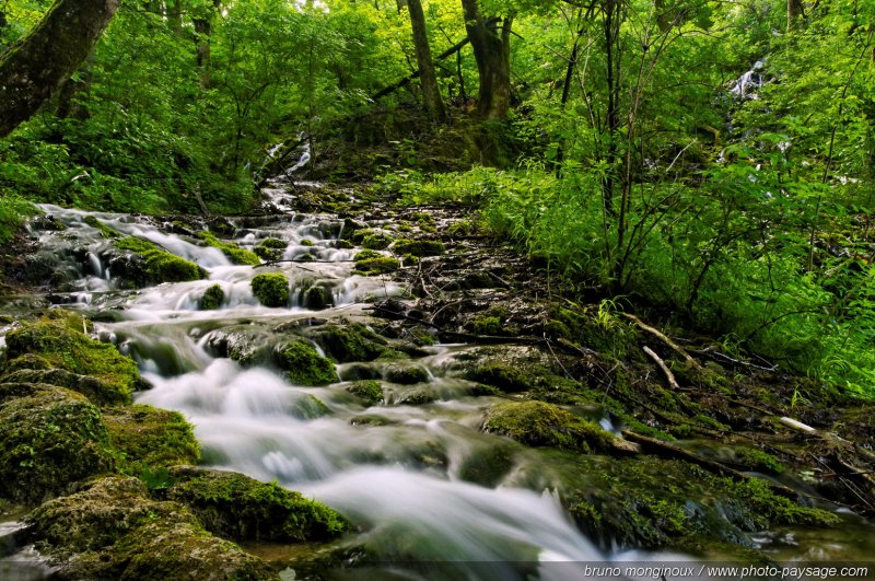 Ruisseau en forêt -03
Parc National de Plitvice, Croatie
Mots-clés: ruisseau riviere cours_d_eau croatie plitvice UNESCO_patrimoine_mondial nature croatie