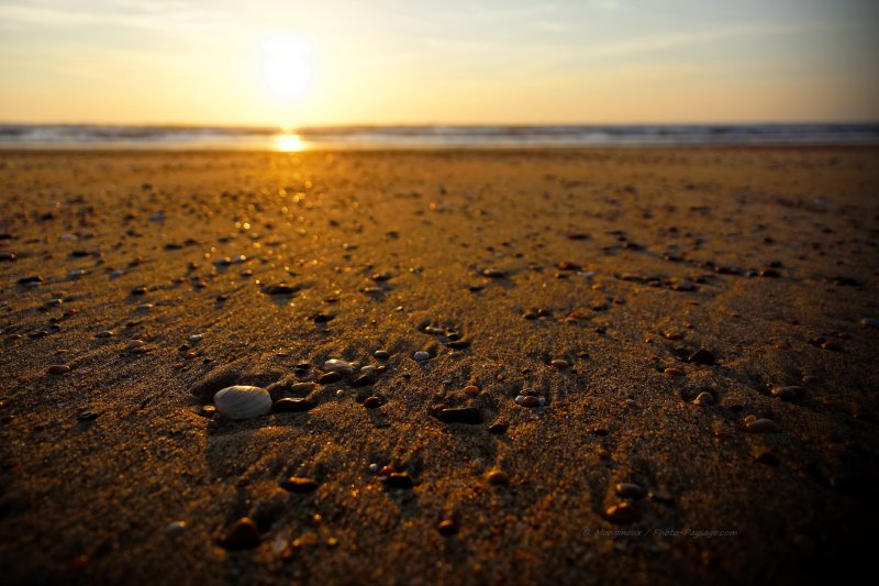 Soleil couchant sur le littoral landais
Moliets-et-Maâ, Côte landaise

Mots-clés: plage sable coquillage coucher_de_soleil galet landes