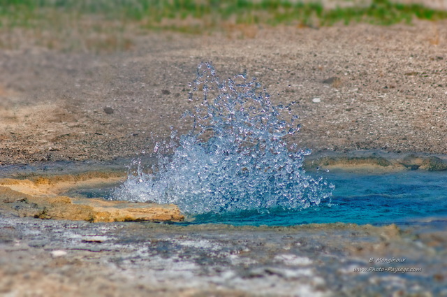 Source thermale bouillonnante dans upper geyser basin
Parc national de Yellowstone, Wyoming, USA
Mots-clés: usa wyoming source_thermale goutte