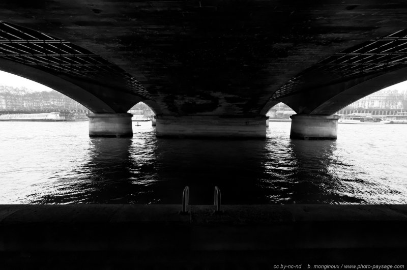 Sous le pont d'Iéna
Les ponts de Paris
Mots-clés: sous_les_ponts noir_et_blanc paris paysage_urbain les_ponts_de_paris monument grand-angle