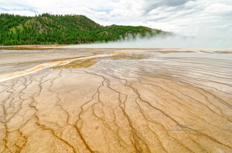 Sur la rive du Grand Prismatic spring
Midway Geyser Basin, parc national de Yellowstone, Wyoming, USA
Mots-clés: usa wyoming source_thermale vapeur
